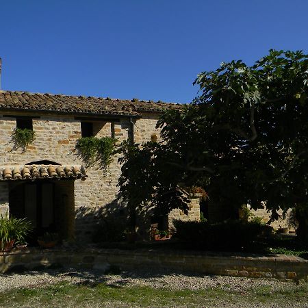 Azienda Agrituristica Colle San Giorgio Castiglione Messer Raimondo Extérieur photo